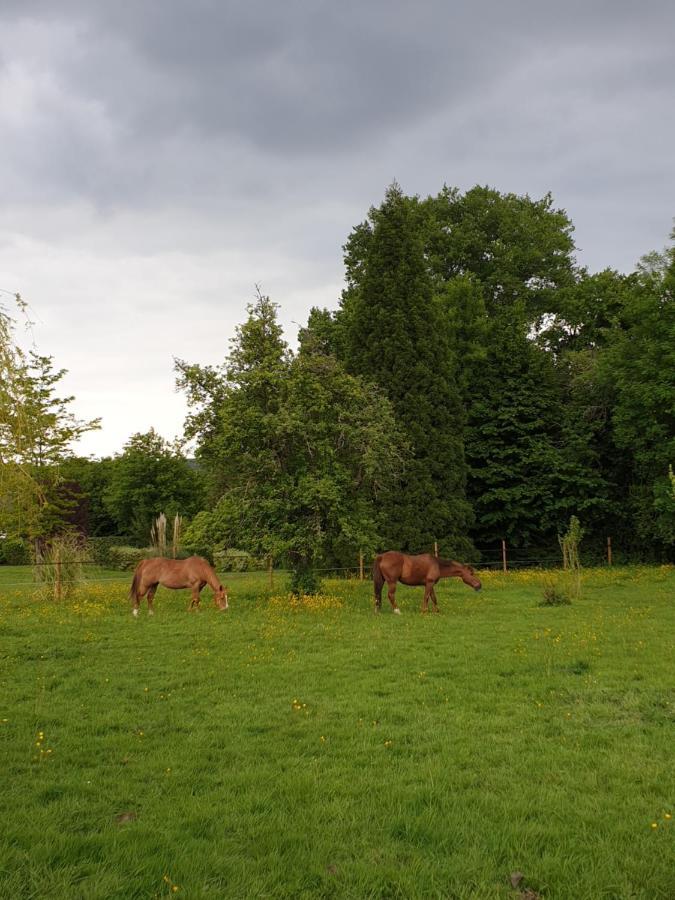 Chambre D'Hote Normande Freneuse-Sur-Risle Exteriör bild